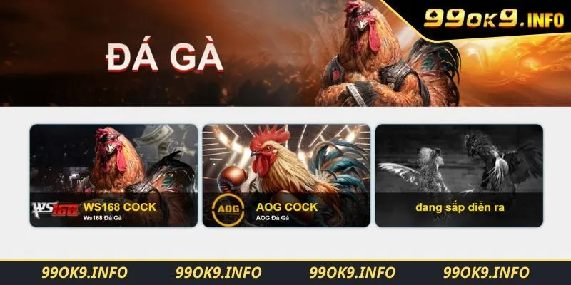 Giới thiệu sơ lược về sảnh chơi đá gà 99OK